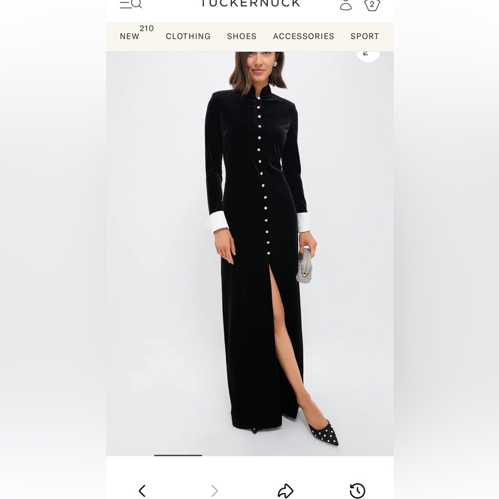 Black velvet Tuckernuck dress.